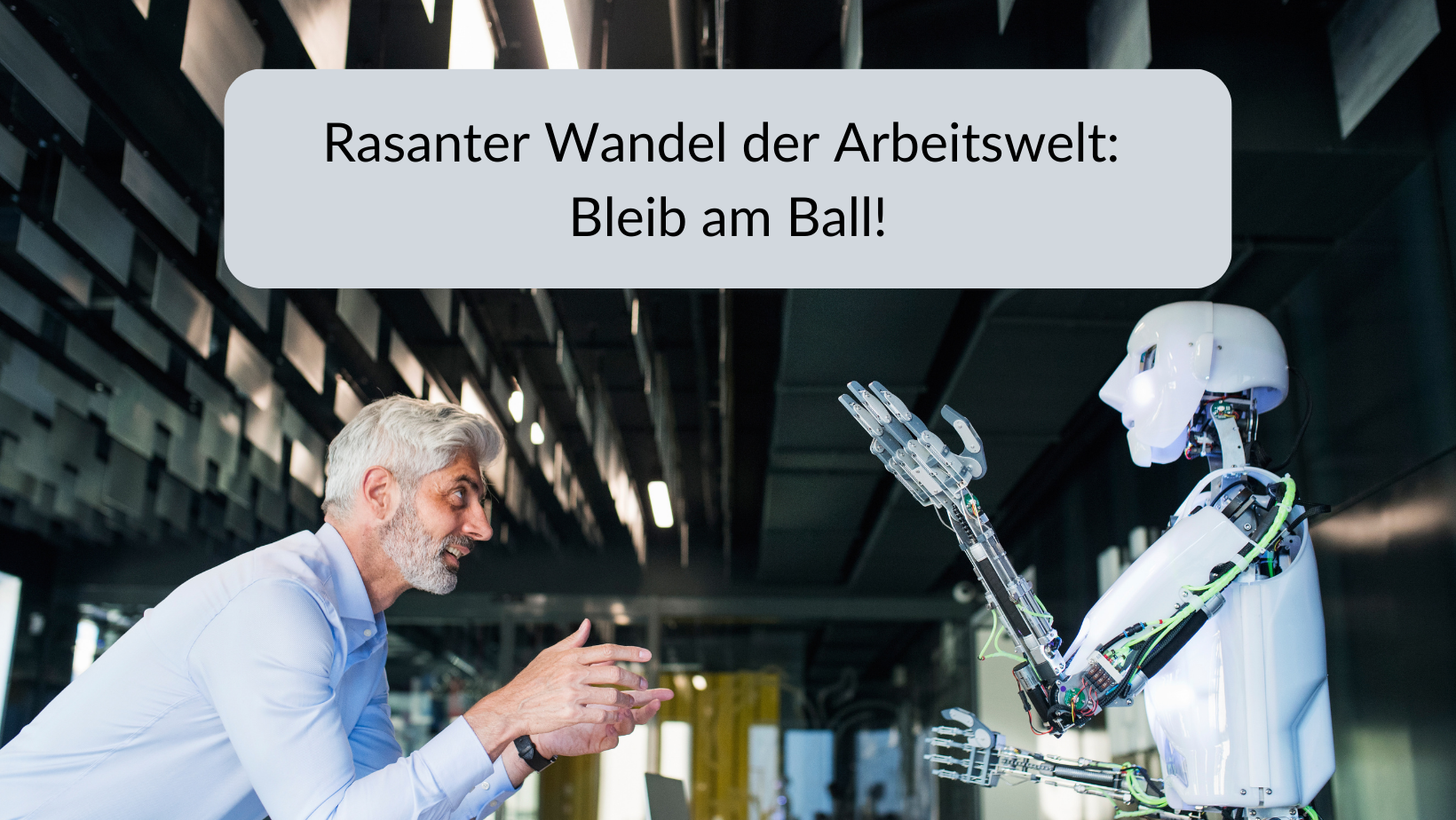 Rasanter Wandel der Arbeitswelt: Bleib am Ball!